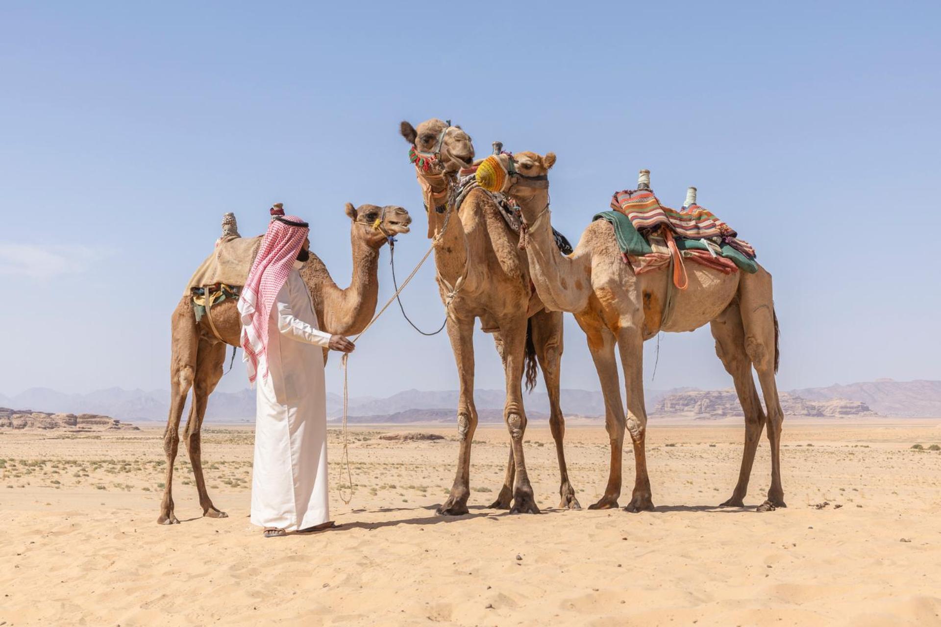 Wadi Rum Camp & Jeep Tour المظهر الخارجي الصورة