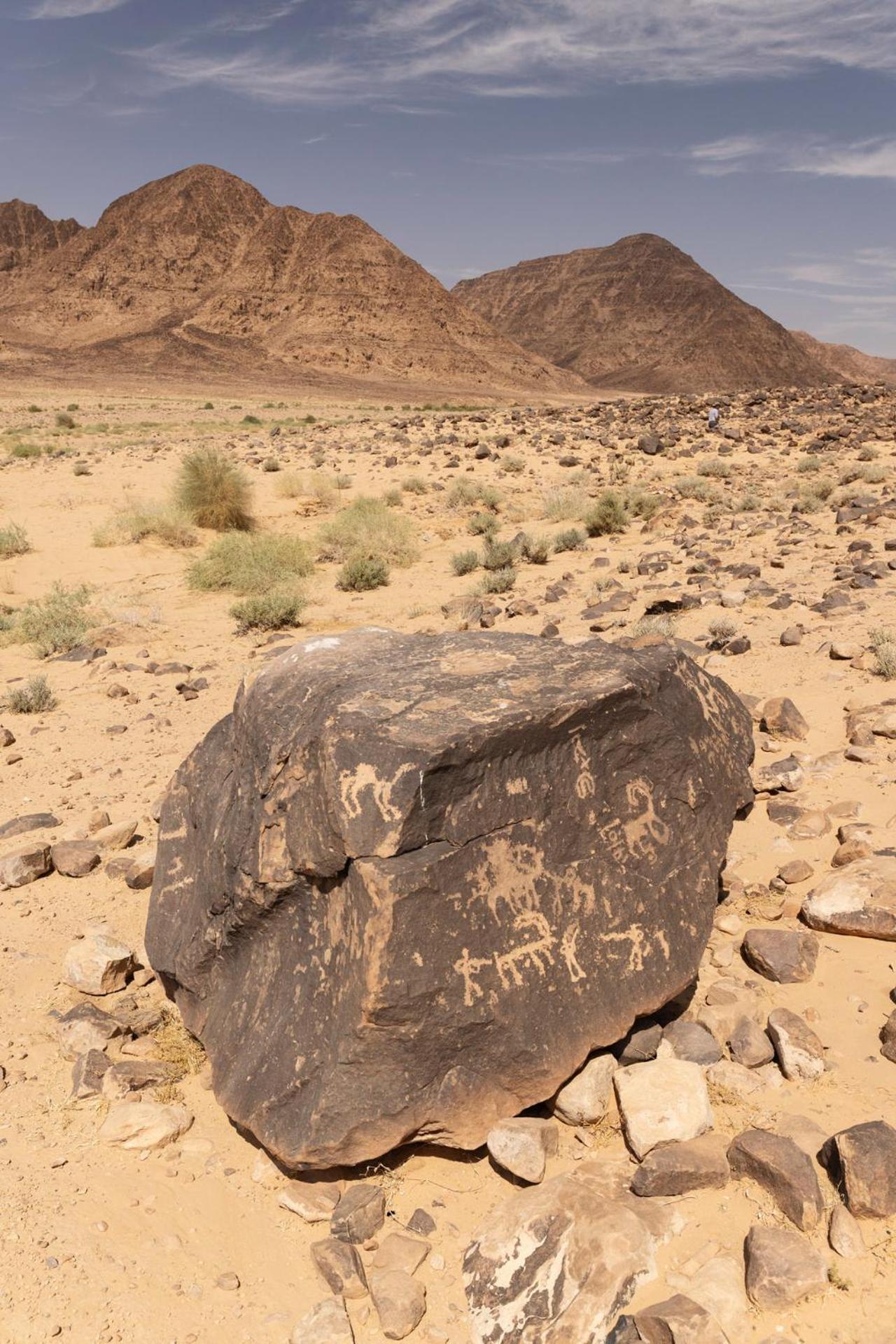 Wadi Rum Camp & Jeep Tour المظهر الخارجي الصورة