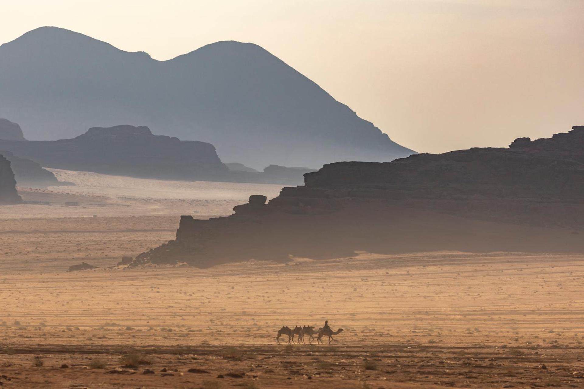 Wadi Rum Camp & Jeep Tour المظهر الخارجي الصورة